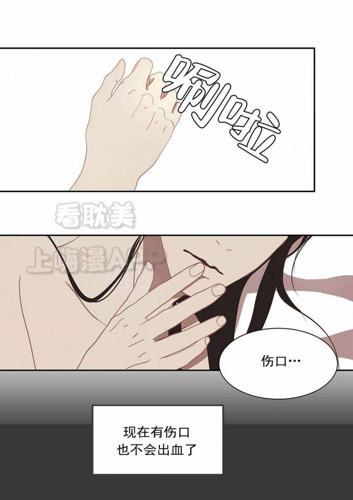 美型妖精大混战漫画全集韩漫全集-第97话无删减无遮挡章节图片 