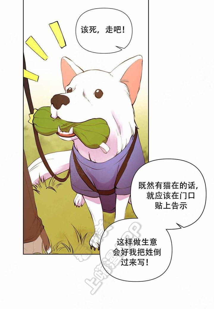 笨蛋测试召唤兽漫画韩漫全集-第10话无删减无遮挡章节图片 