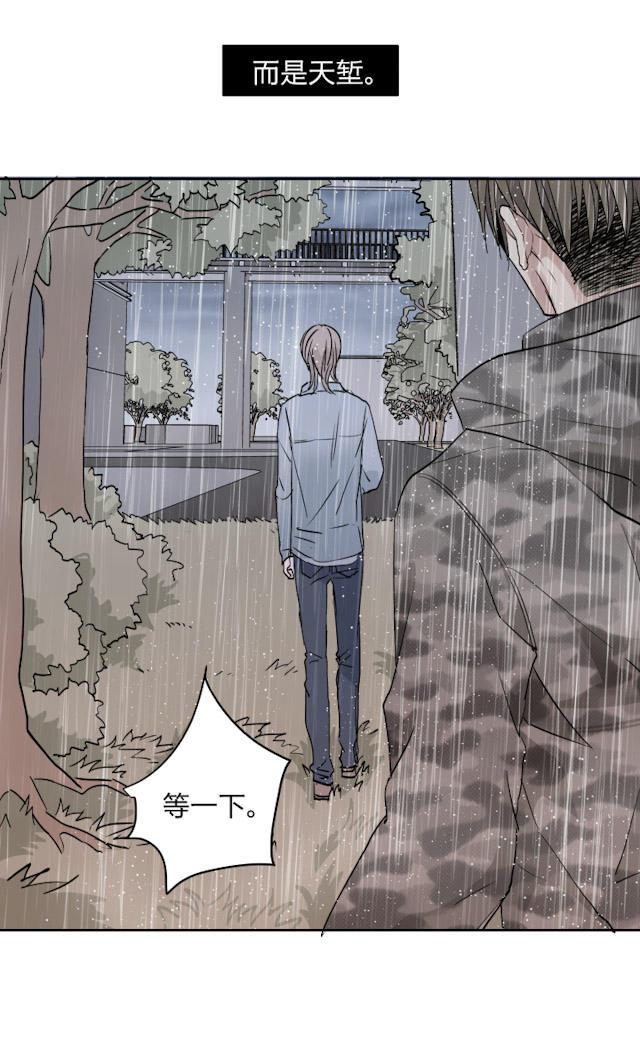 恋足漫画韩漫全集-33_33话无删减无遮挡章节图片 