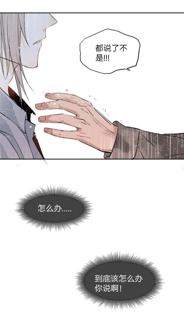 恋足漫画韩漫全集-33_33话无删减无遮挡章节图片 