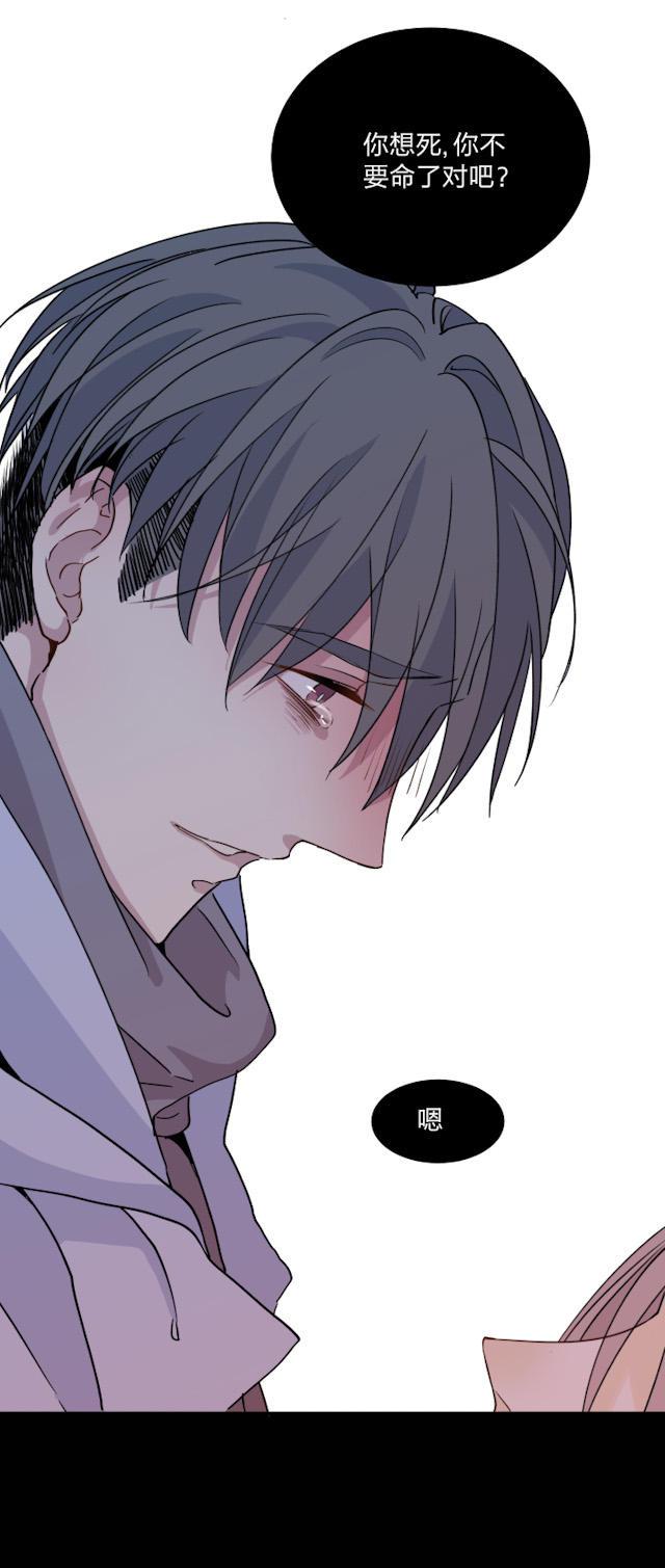 恋足漫画韩漫全集-51_51话无删减无遮挡章节图片 