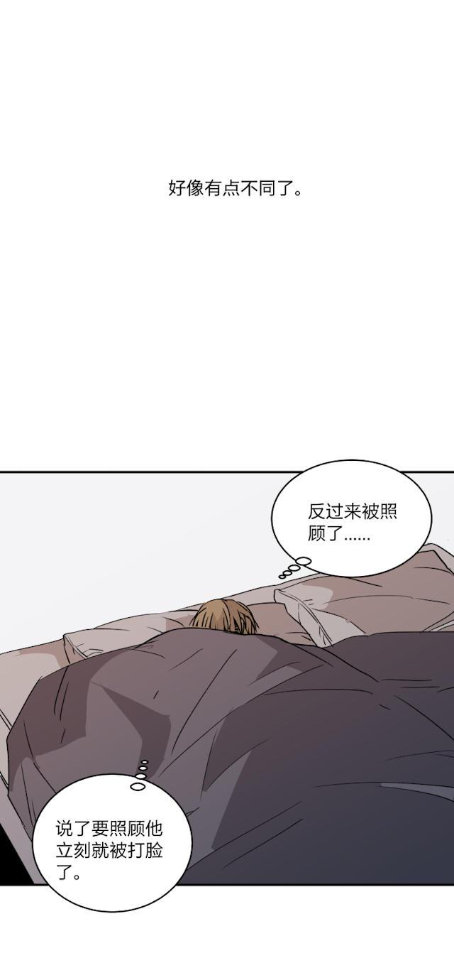 恋足漫画韩漫全集-52_52话无删减无遮挡章节图片 