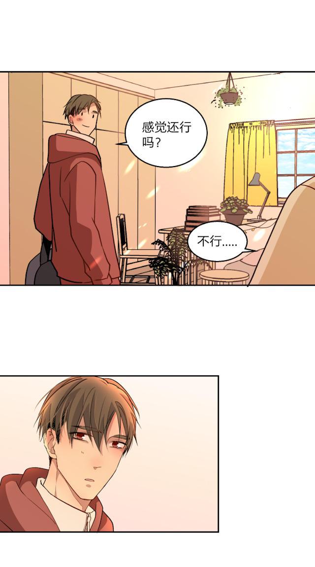 恋足漫画韩漫全集-74_74话无删减无遮挡章节图片 