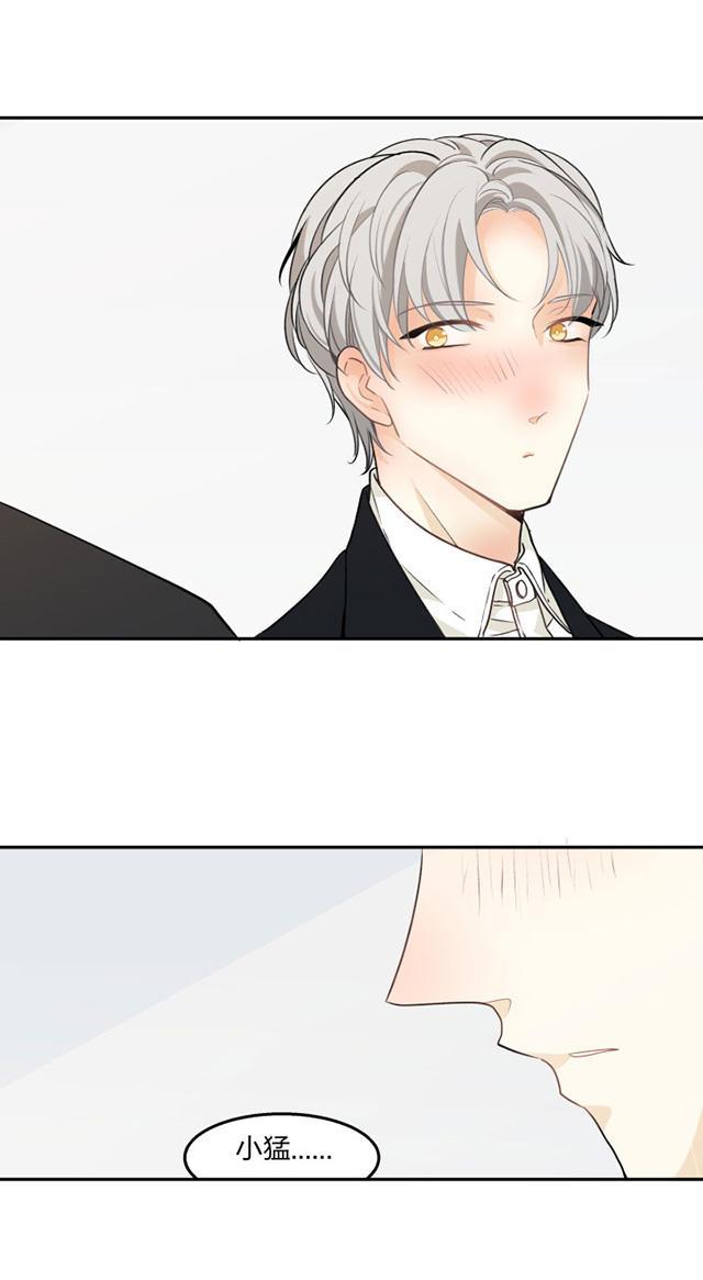 恋足漫画韩漫全集-81_81话无删减无遮挡章节图片 