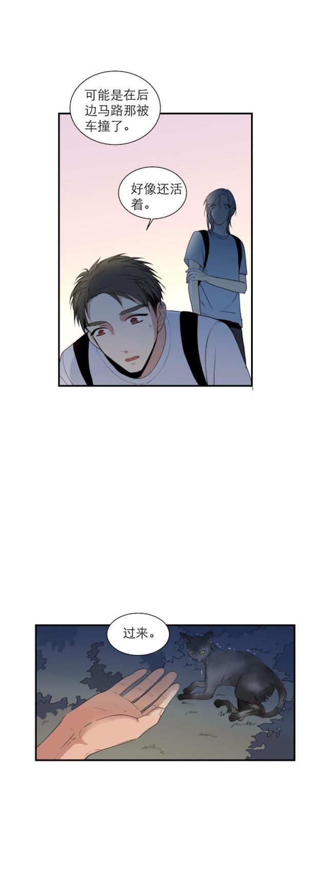 恋足漫画韩漫全集-103_103话无删减无遮挡章节图片 