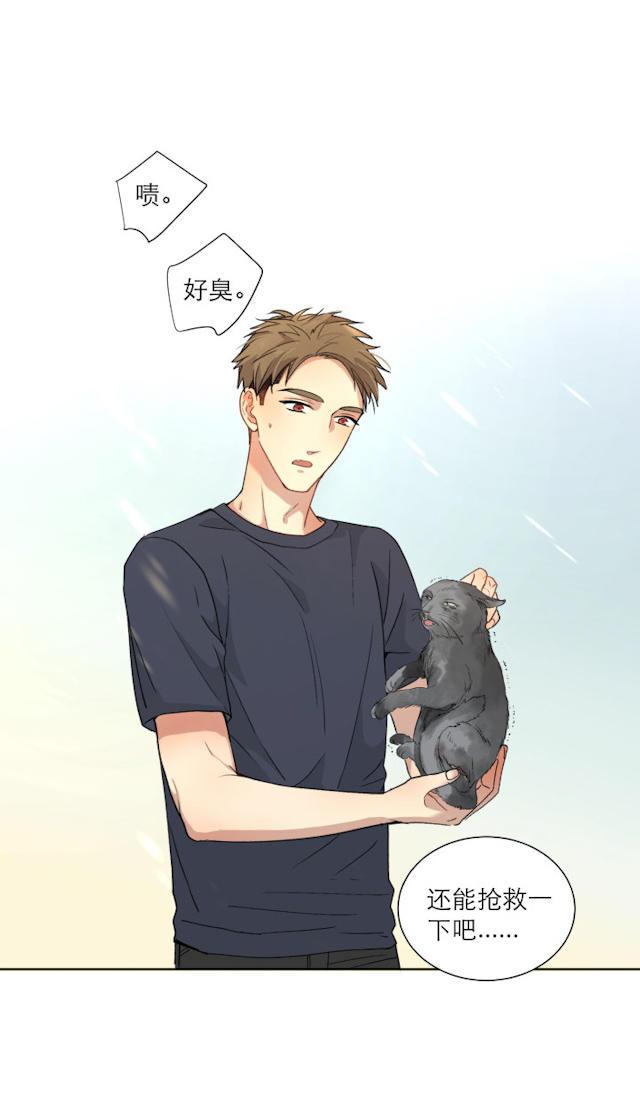 恋足漫画韩漫全集-105_105话无删减无遮挡章节图片 