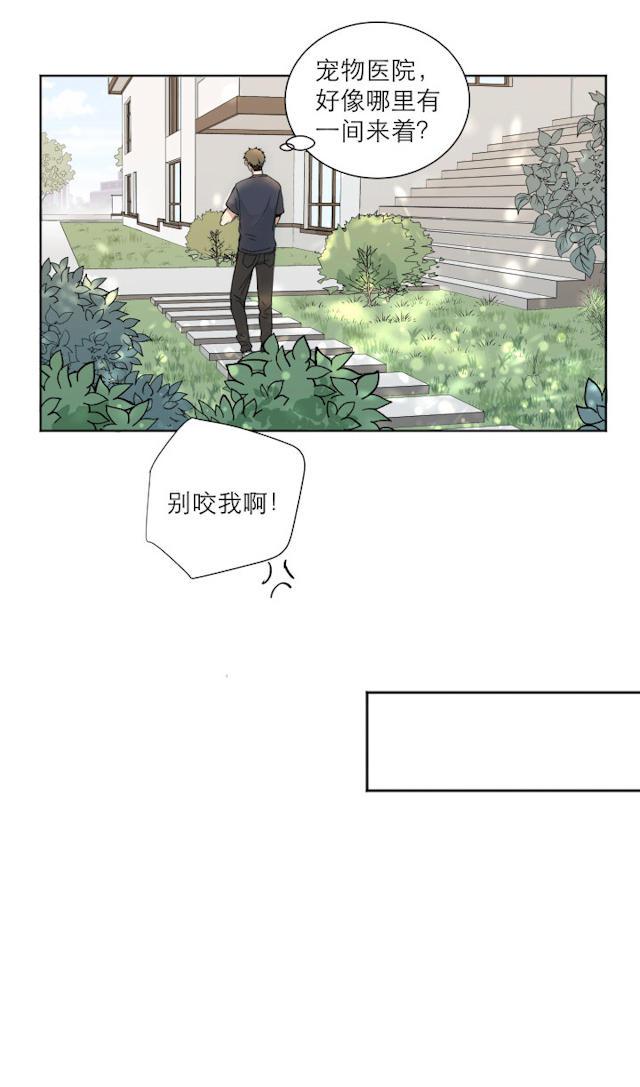 恋足漫画韩漫全集-105_105话无删减无遮挡章节图片 