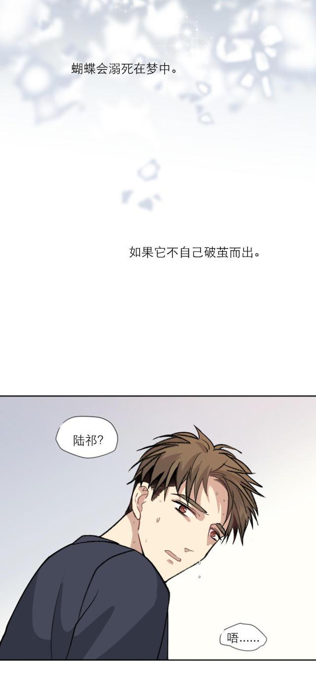 恋足漫画韩漫全集-106_106话无删减无遮挡章节图片 