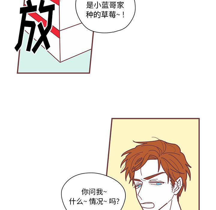 牙斗兽娘漫画韩漫全集-第4话无删减无遮挡章节图片 