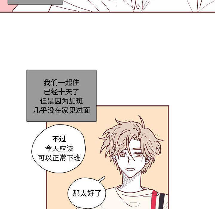 牙斗兽娘漫画韩漫全集-第11话无删减无遮挡章节图片 