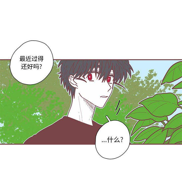 牙斗兽娘漫画韩漫全集-第41话无删减无遮挡章节图片 