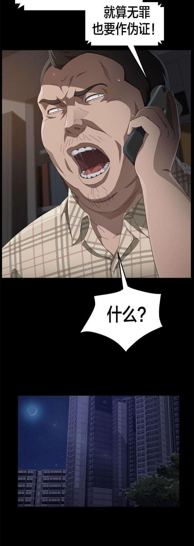 漫画下载网站韩漫全集-第48话 伪证无删减无遮挡章节图片 