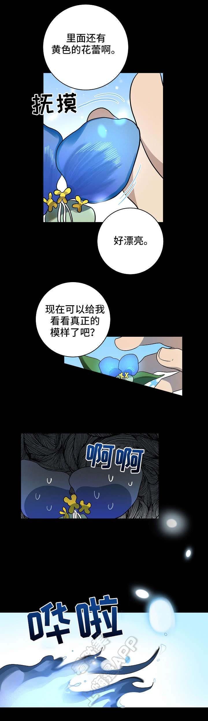 妖精的尾巴漫画韩漫全集-第24话无删减无遮挡章节图片 