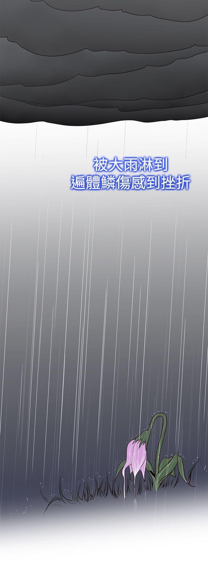 最游记漫画韩漫全集-第44话无删减无遮挡章节图片 