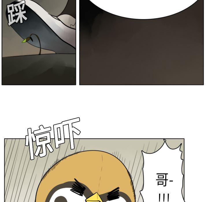 夜行书生漫画韩漫全集-9无删减无遮挡章节图片 