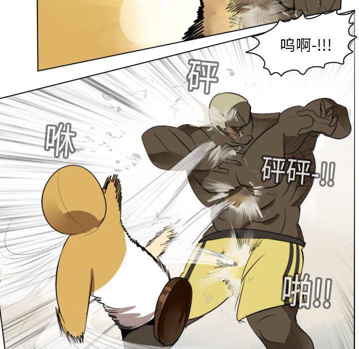 夜行书生漫画韩漫全集-12无删减无遮挡章节图片 