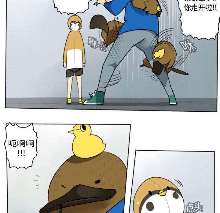 夜行书生漫画韩漫全集-14无删减无遮挡章节图片 