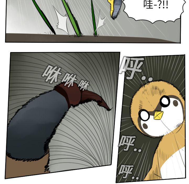 夜行书生漫画韩漫全集-18无删减无遮挡章节图片 