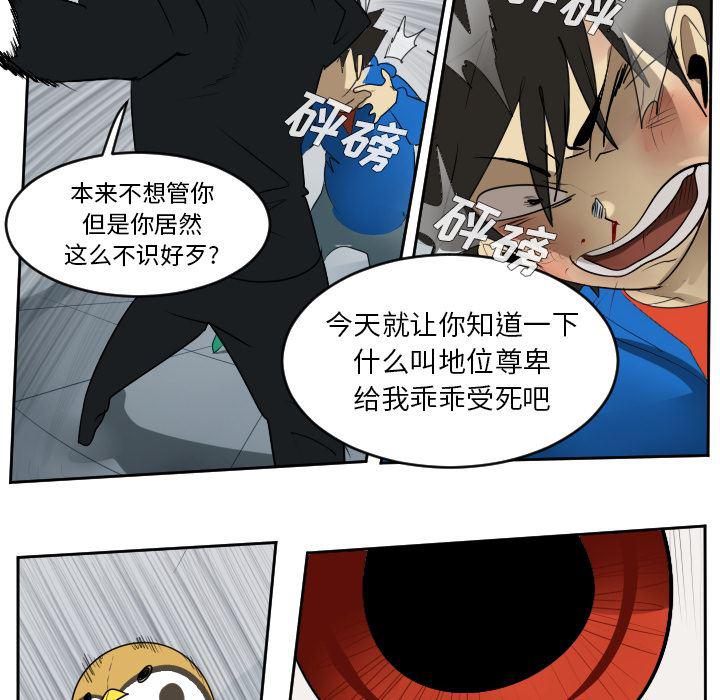 夜行书生漫画韩漫全集-52无删减无遮挡章节图片 