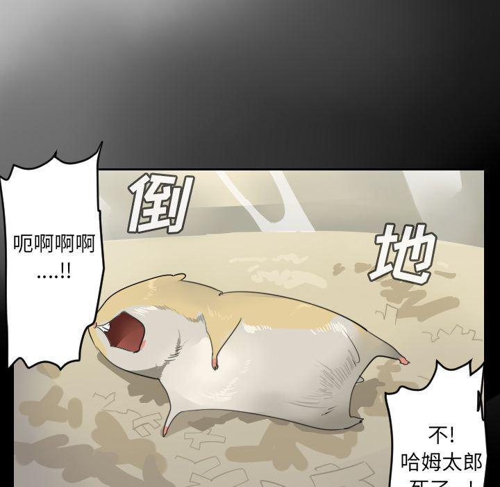 夜行书生漫画韩漫全集-第79话无删减无遮挡章节图片 