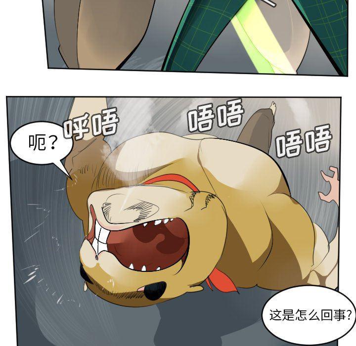 夜行书生漫画韩漫全集-第107话无删减无遮挡章节图片 