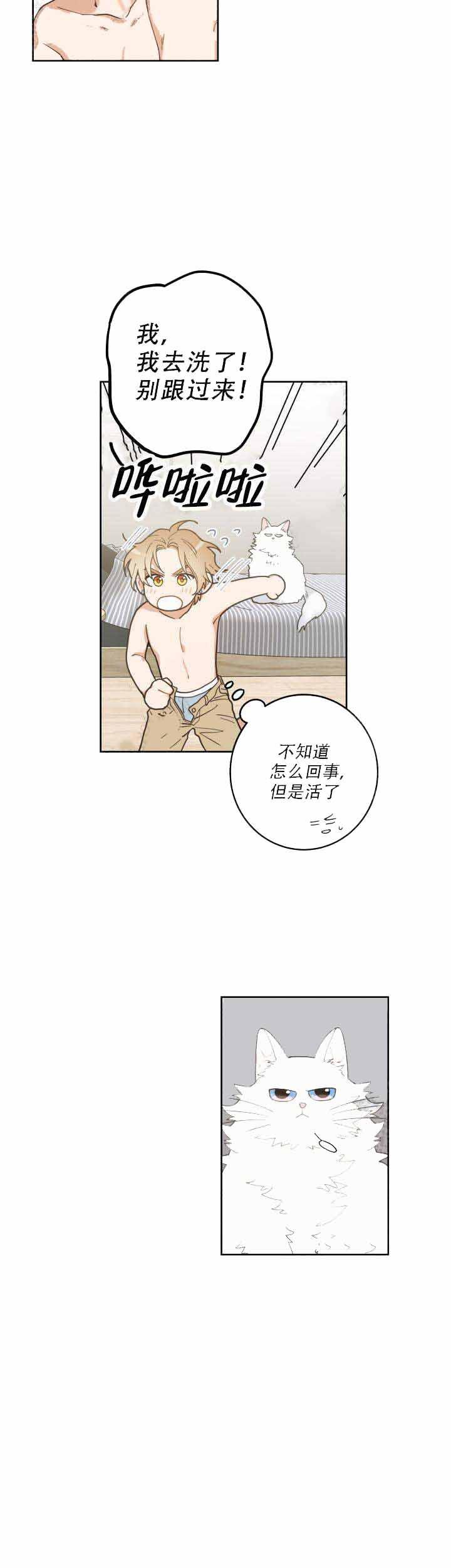 纯情丫头火辣辣漫画韩漫全集-第10话无删减无遮挡章节图片 