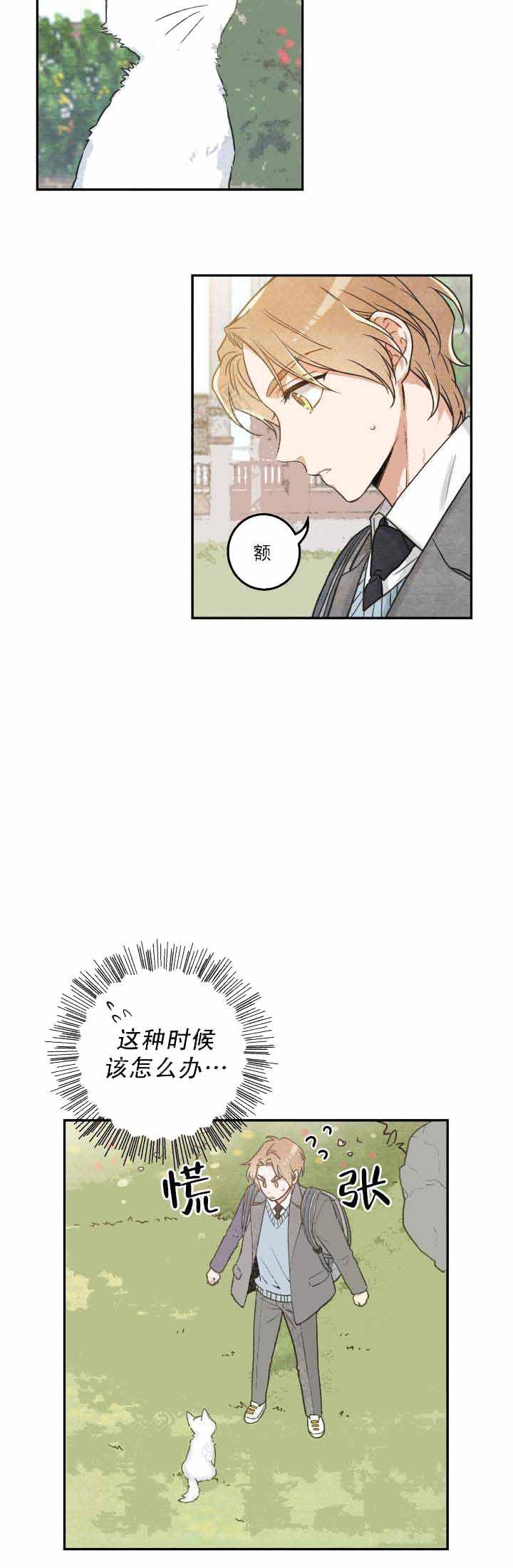 纯情丫头火辣辣漫画韩漫全集-第19话无删减无遮挡章节图片 