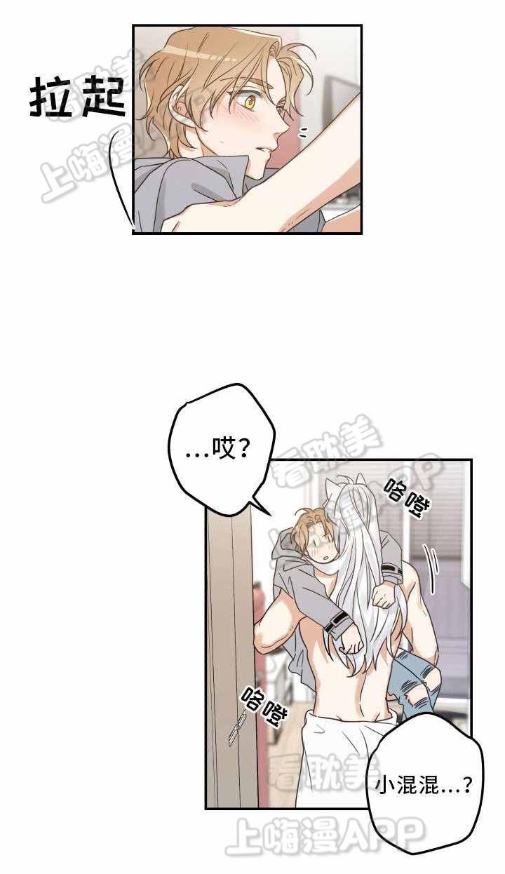 纯情丫头火辣辣漫画韩漫全集-第23话无删减无遮挡章节图片 
