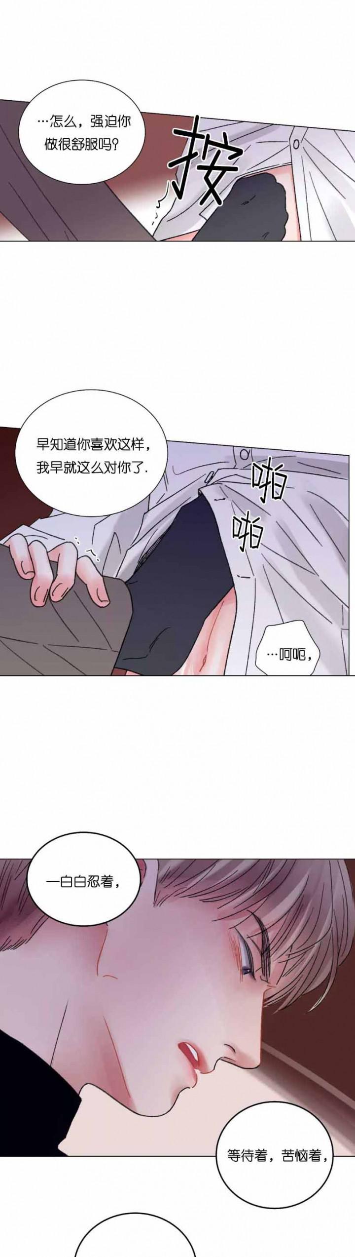 人鱼之伤漫画韩漫全集-第49话无删减无遮挡章节图片 