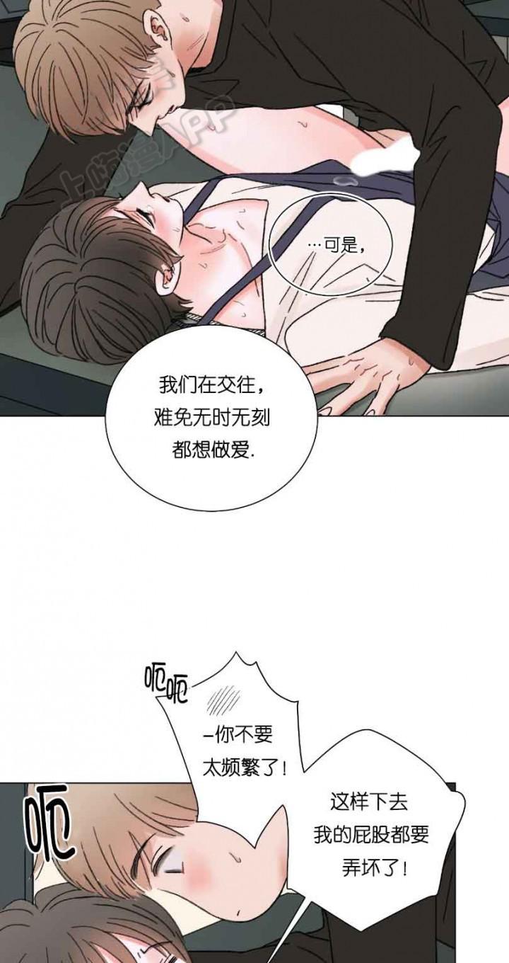 人鱼之伤漫画韩漫全集-第61话无删减无遮挡章节图片 