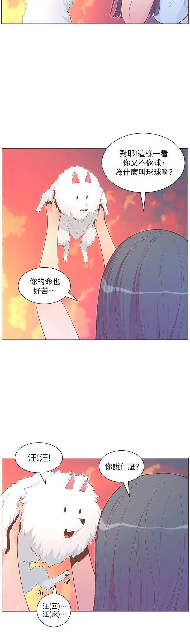 迷人的她[顶通]韩漫全集-第62話-Everything's gonna be alright无删减无遮挡章节图片 