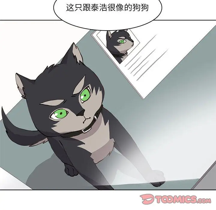 野性之城[顶通]韩漫全集-第35话无删减无遮挡章节图片 