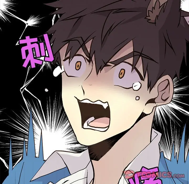 野性之城[顶通]韩漫全集-第 71 话无删减无遮挡章节图片 