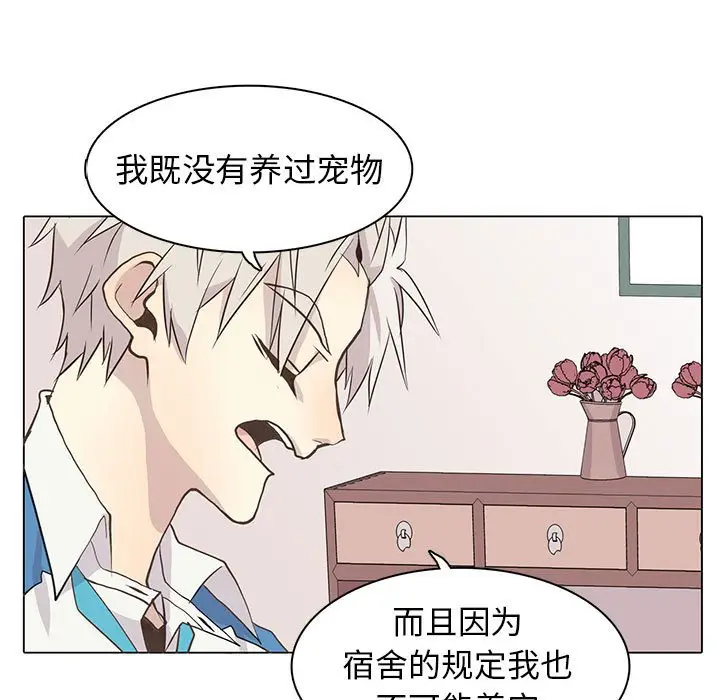野性之城[顶通]韩漫全集-第 73 话无删减无遮挡章节图片 