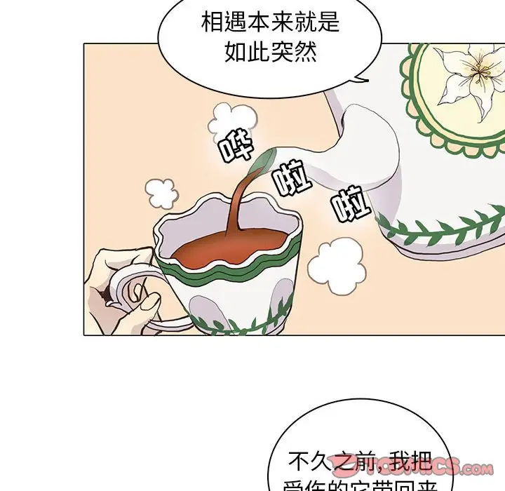野性之城[顶通]韩漫全集-第 73 话无删减无遮挡章节图片 