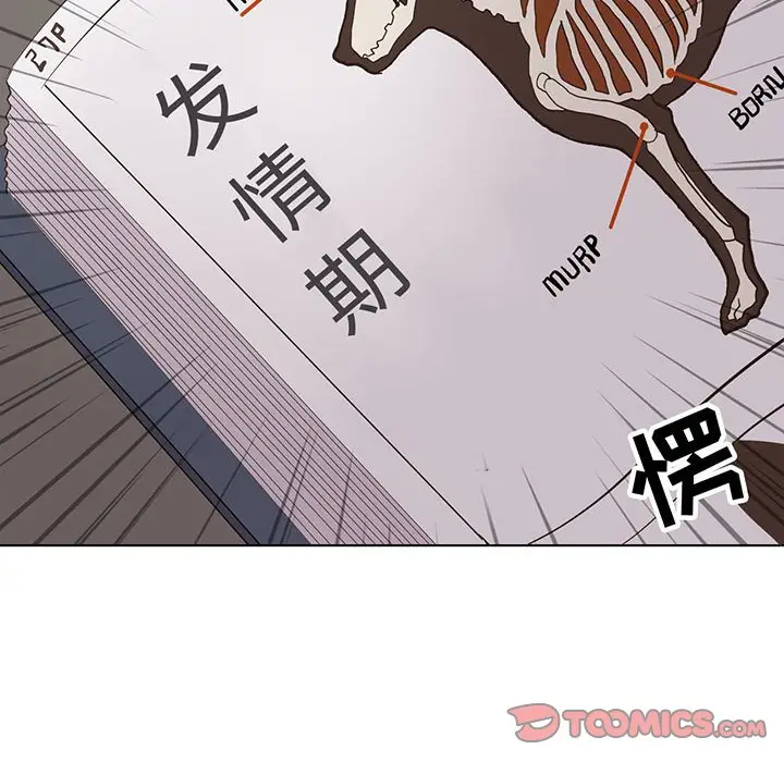 野性之城[顶通]韩漫全集-第 89 话无删减无遮挡章节图片 