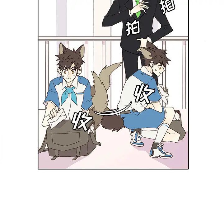 野性之城[顶通]韩漫全集-第1话无删减无遮挡章节图片 