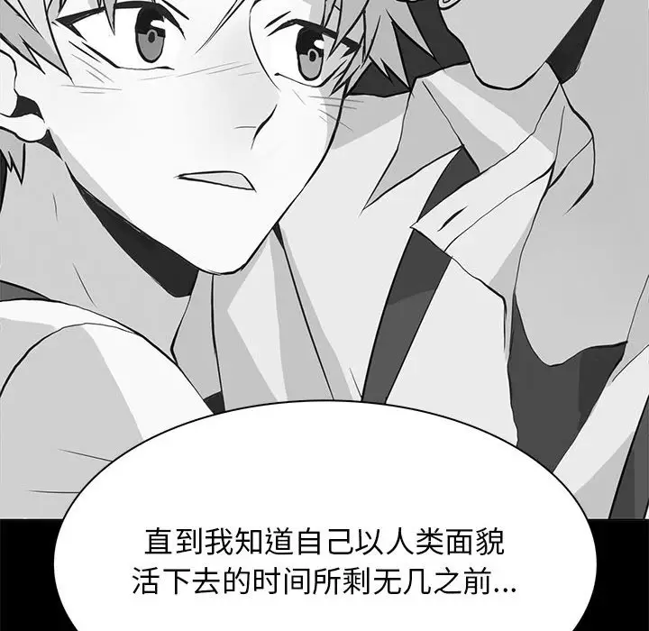 野性之城[顶通]韩漫全集-第 121 话无删减无遮挡章节图片 