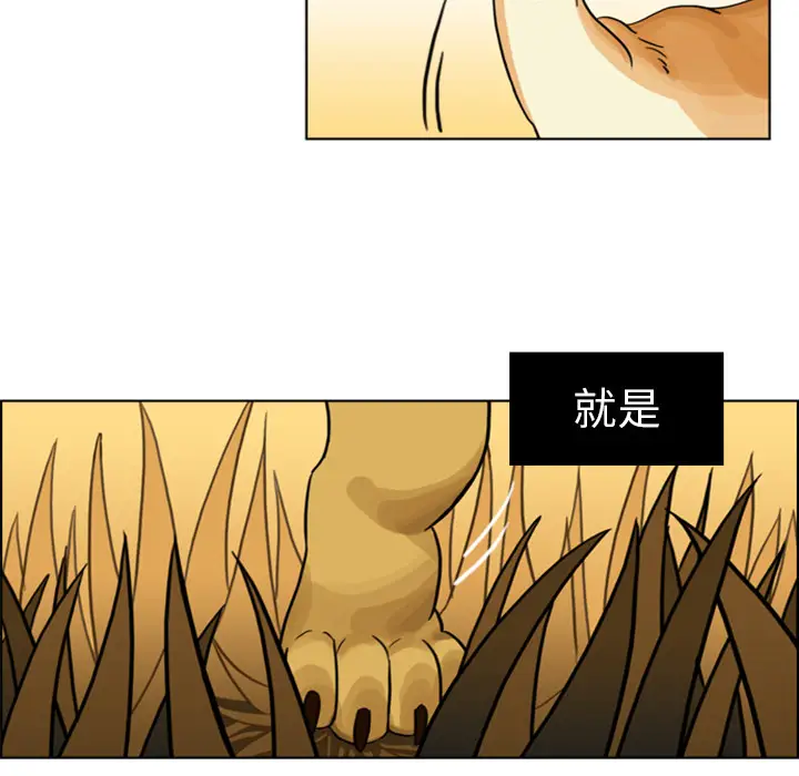 美丽无罪[顶通]韩漫全集-第3话无删减无遮挡章节图片 