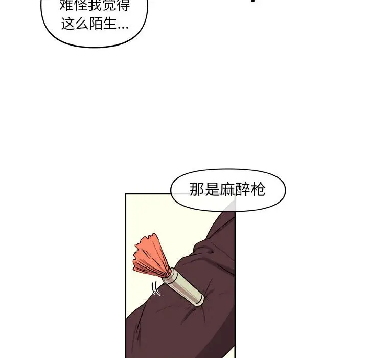 玩偶特攻队[顶通]韩漫全集-第 29 话无删减无遮挡章节图片 