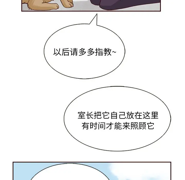夏奈尔女孩[顶通]韩漫全集-第13话无删减无遮挡章节图片 