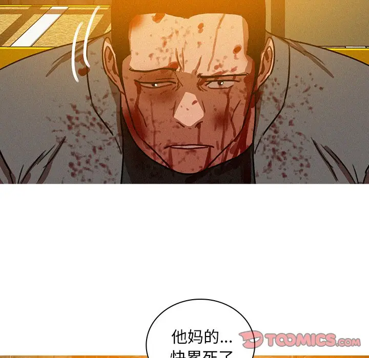 迷失天堂[顶通]韩漫全集-第 49 话无删减无遮挡章节图片 