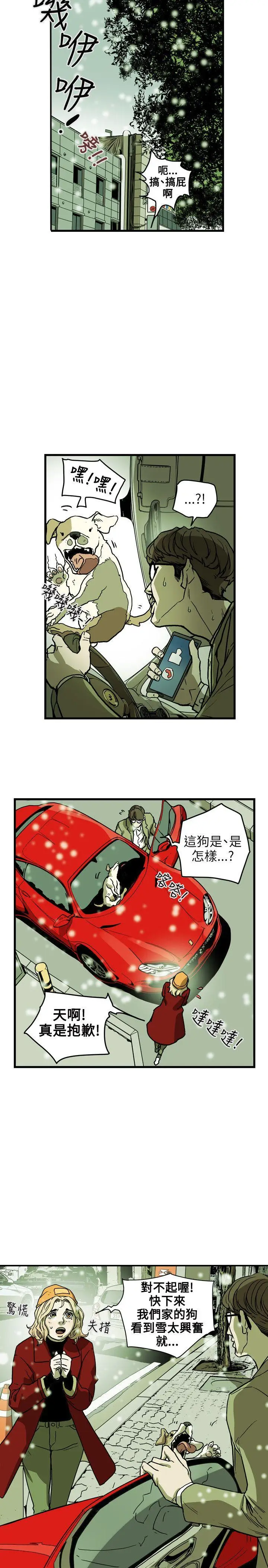 Honey trap 甜蜜陷阱[顶通]韩漫全集-第70話无删减无遮挡章节图片 