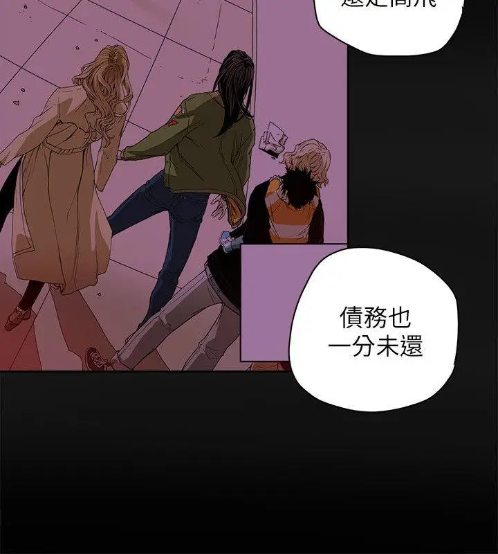 Honey trap 甜蜜陷阱[顶通]韩漫全集-第77話无删减无遮挡章节图片 