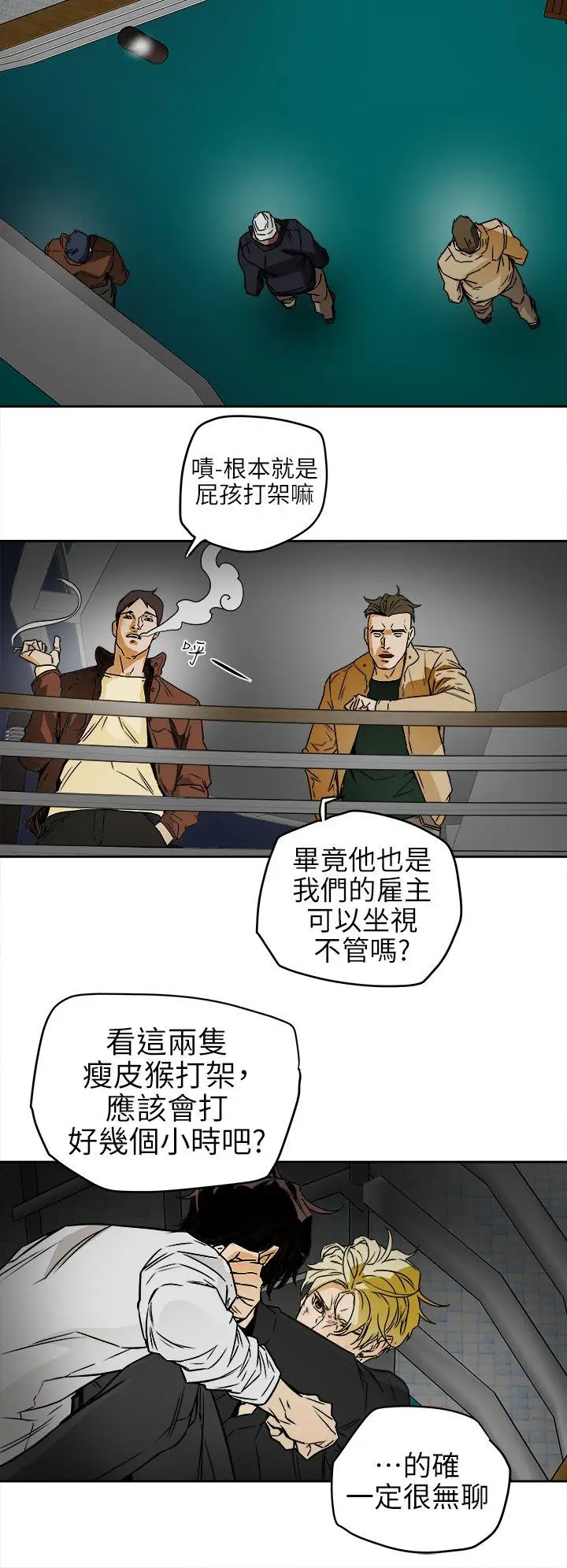Honey trap 甜蜜陷阱[顶通]韩漫全集-第99話 - 底端的戰爭无删减无遮挡章节图片 