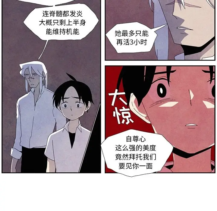瘟疫医师[顶通]韩漫全集-第 11 话无删减无遮挡章节图片 