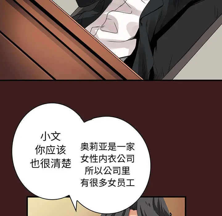 内衣社的新职员[顶通]韩漫全集-第19话无删减无遮挡章节图片 