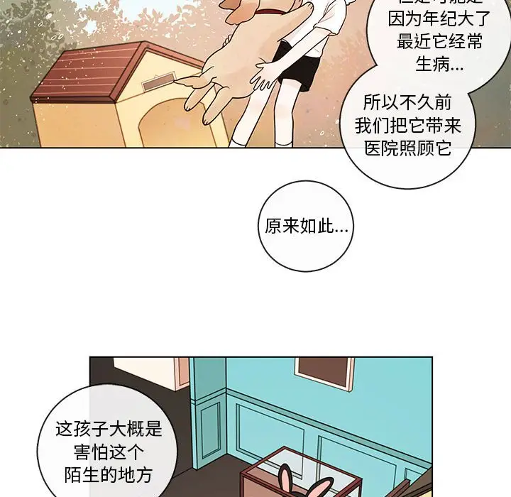努娜的魔法商店[顶通]韩漫全集-第 42 话无删减无遮挡章节图片 