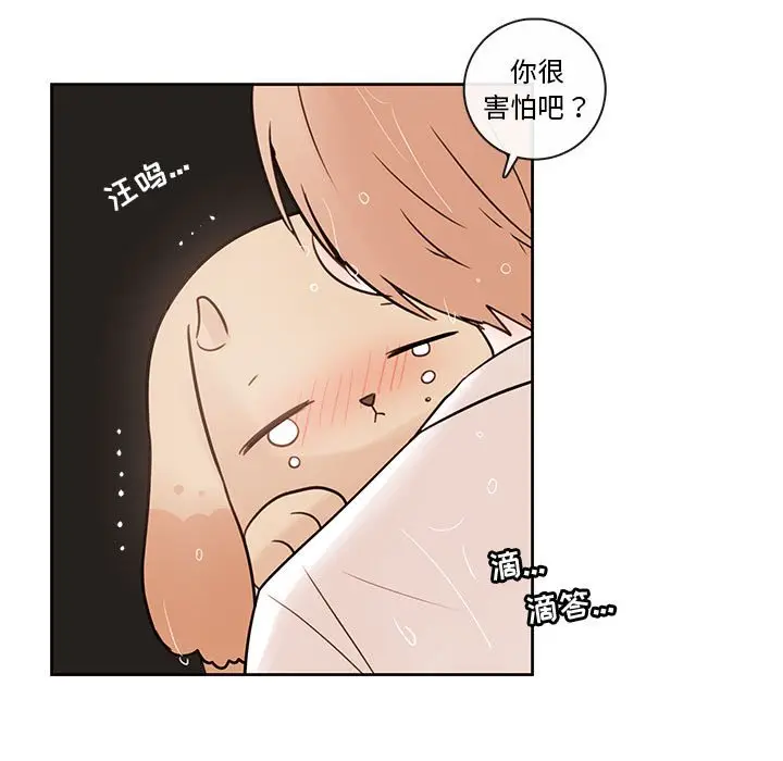 努娜的魔法商店[顶通]韩漫全集-第 55 话无删减无遮挡章节图片 