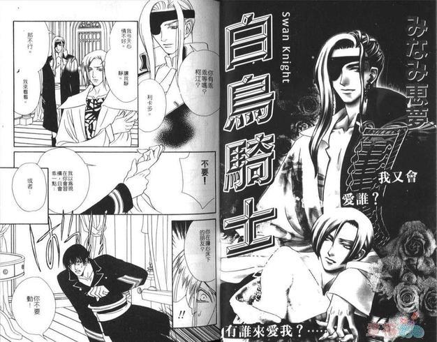 白鸟骑士[耽美]韩漫全集-第1卷无删减无遮挡章节图片 